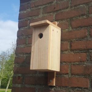 Nestkast Pimpelmees